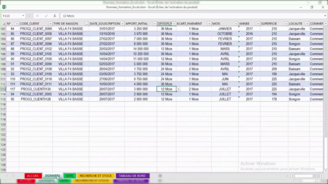 Excel et VBA pour gérer efficacement vos données – Screenshot 1