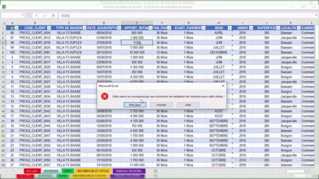 Excel et VBA pour gérer efficacement vos données – Screenshot 2