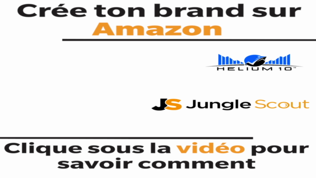 Amazon FBA Bootcamp: Crée Facilement ton Brand sur Amazon – Screenshot 4