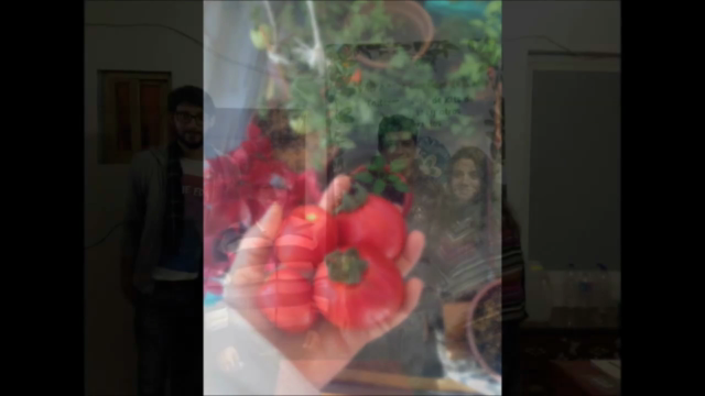 Aprende a Cultivar con Hidroponia – Screenshot 3
