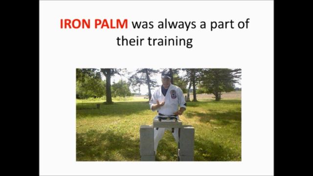 Advanced Iron Palm Training – Screenshot 2