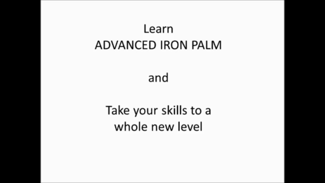 Advanced Iron Palm Training – Screenshot 4
