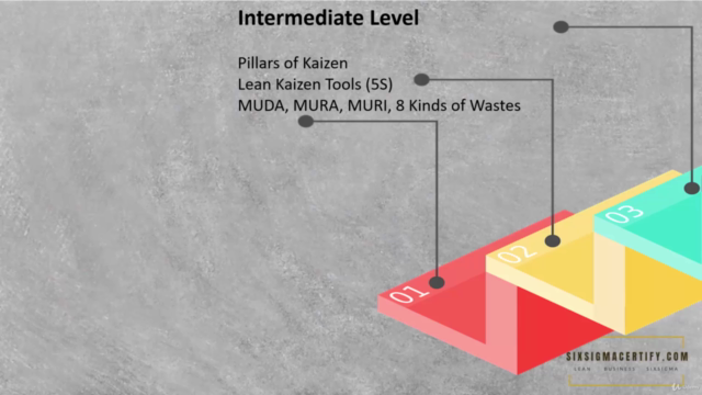 Step by Step Kaizen Practitioner Mastercourse for Beginners – Screenshot 3