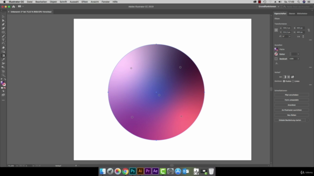 Adobe Illustrator CC - Der große & einfache Praxis-Kurs. – Screenshot 1