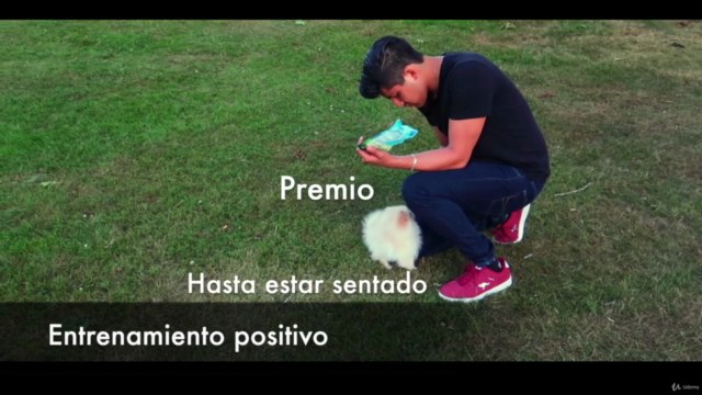 Adiestramiento Canino desde Cero, para ti y tu mejor amigo – Screenshot 2