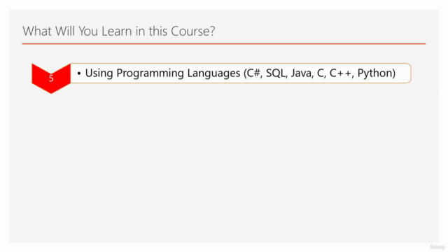 Introduction to Computer Programming for Beginners 2025 – Screenshot 2