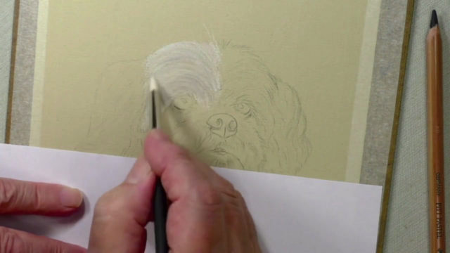 How To Draw Dogs Vol 2 - Staffy, German Shepherd & Shih Tzu – Screenshot 3