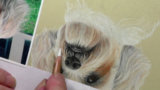 How To Draw Dogs Vol 2 - Staffy, German Shepherd & Shih Tzu – Screenshot 4