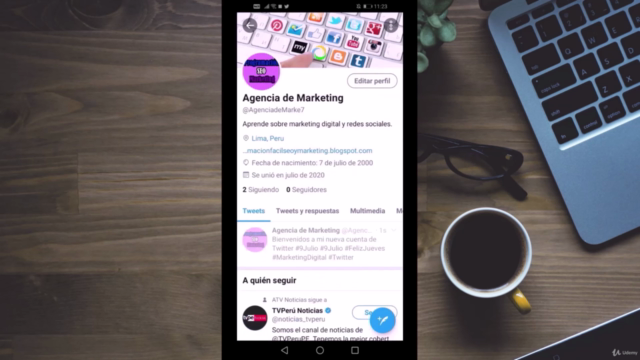 Curso de Twitter 2025, ¡Desde Cero Hasta Experto! – Screenshot 4