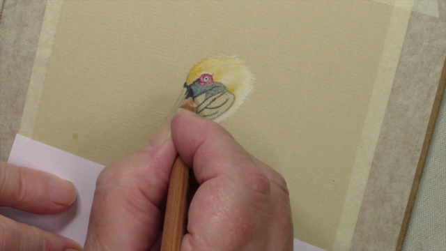 How To Draw Birds Vol 2 - Puffin, Pelican & Toucan – Screenshot 1