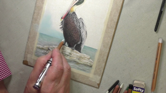 How To Draw Birds Vol 2 - Puffin, Pelican & Toucan – Screenshot 2