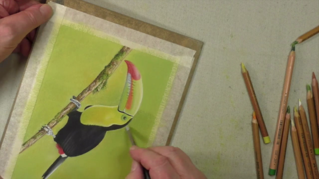 How To Draw Birds Vol 2 - Puffin, Pelican & Toucan – Screenshot 3