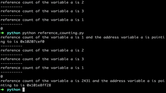 Advanced Python - Memory Management – Screenshot 4