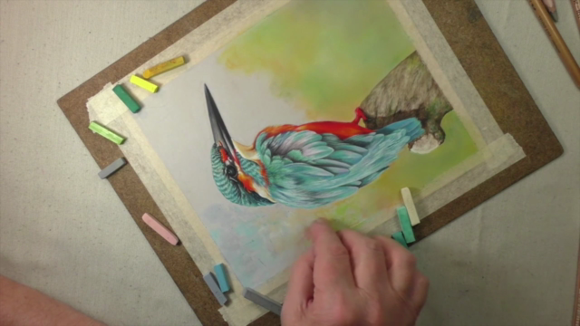 How to Draw Birds Vol 3 - American Robin, Kingfisher & Duck – Screenshot 3
