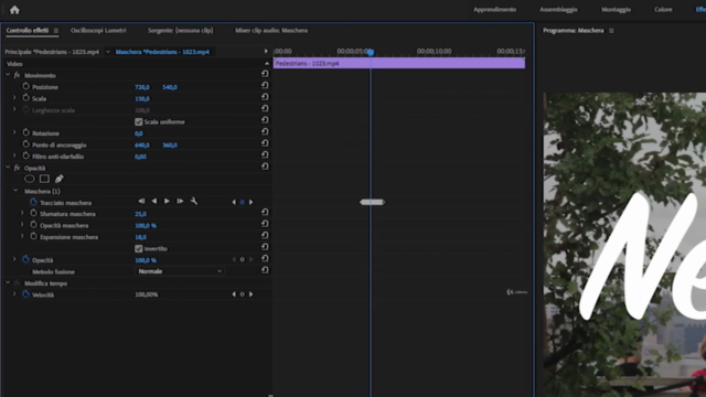 Premiere Pro CC: da zero a videomaker – Screenshot 2