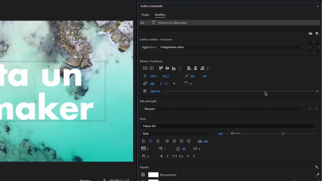 Premiere Pro CC: da zero a videomaker – Screenshot 3