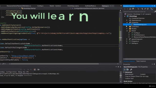 RESTful API Development with ASP.NET Core Web API Bootcamp – Screenshot 2