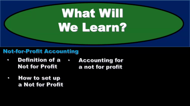 Not-for-Profit Accounting-Charities, Colleges, & Health Care - Screenshot_02