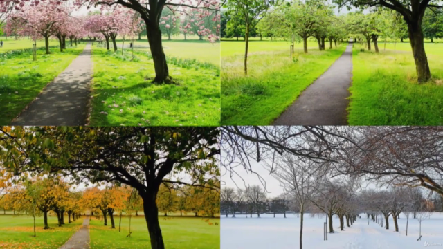 Pruning Trees and Shrubs - Everything you need to know – Screenshot 2