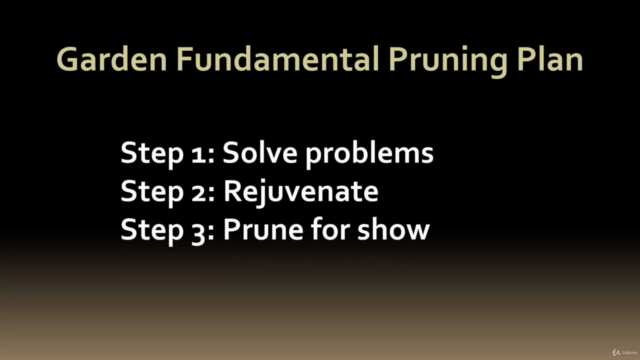 Pruning Trees and Shrubs - Everything you need to know – Screenshot 3