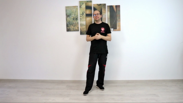 Die zweite Sektion Chi Sao im Wing Chun – Screenshot 1