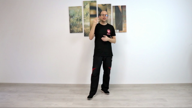 Die zweite Sektion Chi Sao im Wing Chun – Screenshot 2