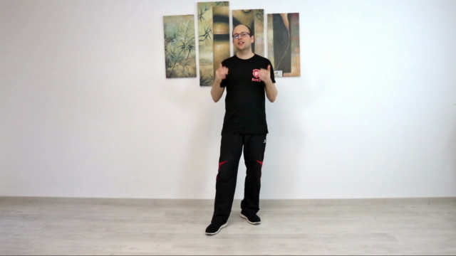 Die zweite Sektion Chi Sao im Wing Chun – Screenshot 4