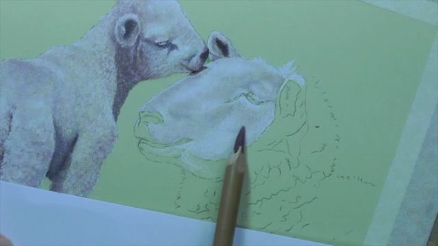 How to Draw Farm Animals Vol 2 - Cow, Goat and Lambs - Screenshot_04