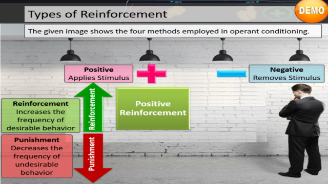 Reinforcement Theory of Motivation - Screenshot_03