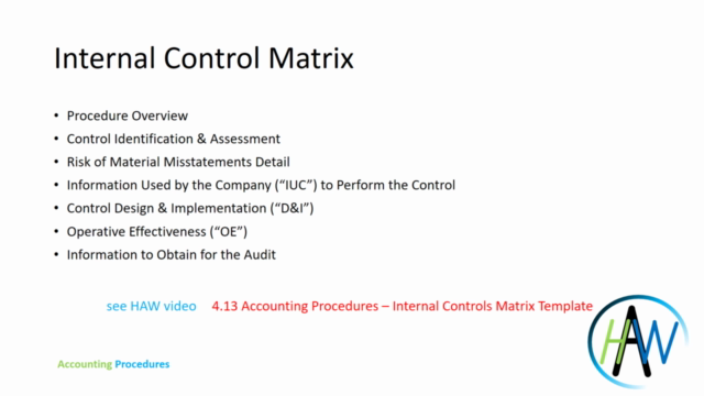 Financial Audit - Accounting Procedures & Internal Controls – Screenshot 1