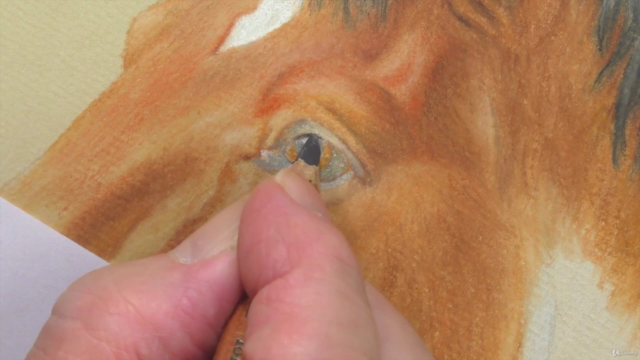 How To Draw Horses Step by Step - 4 Subjects in 1 Course – Screenshot 1