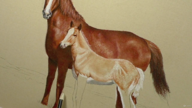 How To Draw Horses Step by Step - 4 Subjects in 1 Course – Screenshot 4