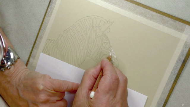 How To Draw Wild Animals Vol 3 - Zebra, Giraffe and Lemur – Screenshot 1