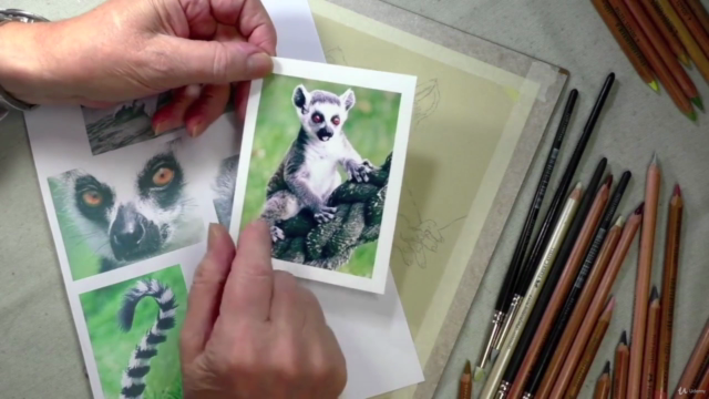 How To Draw Wild Animals Vol 3 - Zebra, Giraffe and Lemur – Screenshot 2