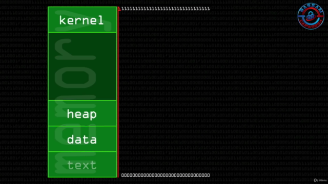 Ethical Hacking, Penetration Testing: Buffer Overflow – Screenshot 2