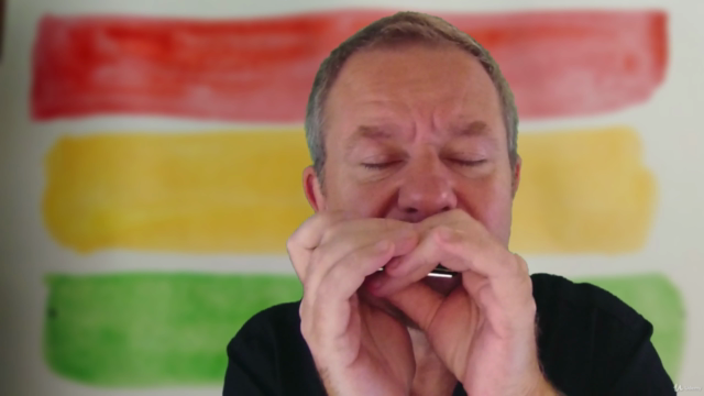 Learn to play Reggae on Harmonica - play with a band/tracks! – Screenshot 1