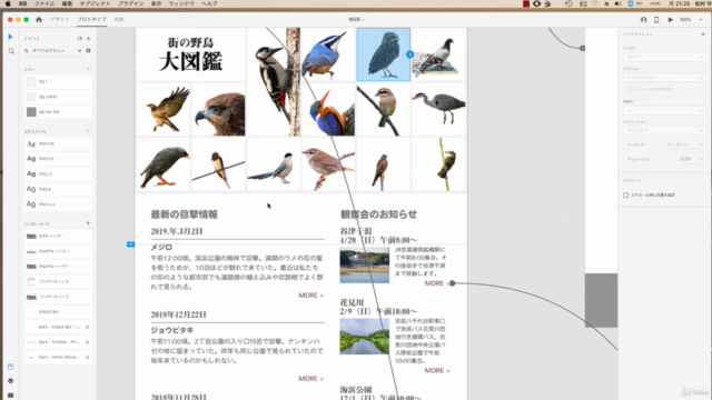 Adobe XD 手を動かして覚えるプロトタイピング。UI/UXデザイナーを目指す完全ガイド – Screenshot 1