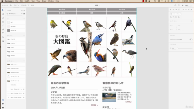 Adobe XD 手を動かして覚えるプロトタイピング。UI/UXデザイナーを目指す完全ガイド – Screenshot 2