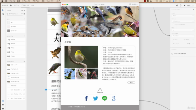 Adobe XD 手を動かして覚えるプロトタイピング。UI/UXデザイナーを目指す完全ガイド – Screenshot 3