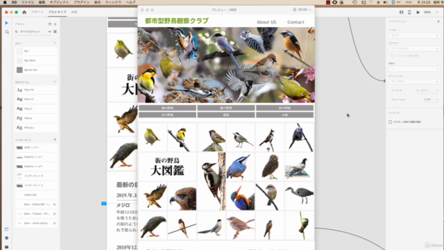 Adobe XD 手を動かして覚えるプロトタイピング。UI/UXデザイナーを目指す完全ガイド – Screenshot 4