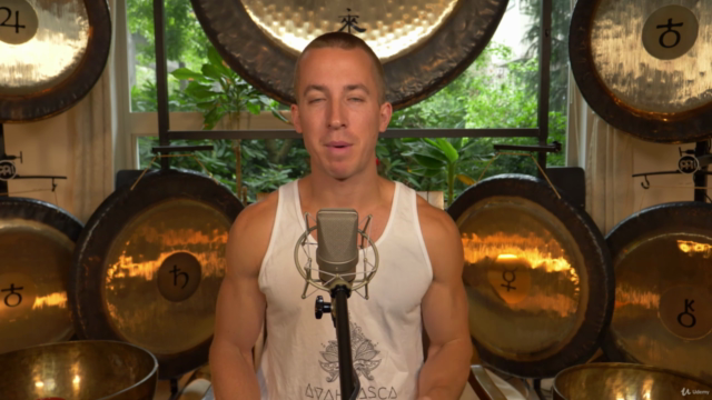 Sound Healing Pro Course: Part 2 – Screenshot 1