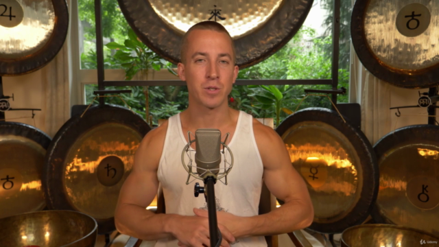 Sound Healing Pro Course: Part 2 – Screenshot 2