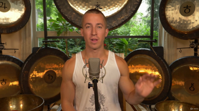 Sound Healing Pro Course: Part 2 – Screenshot 3