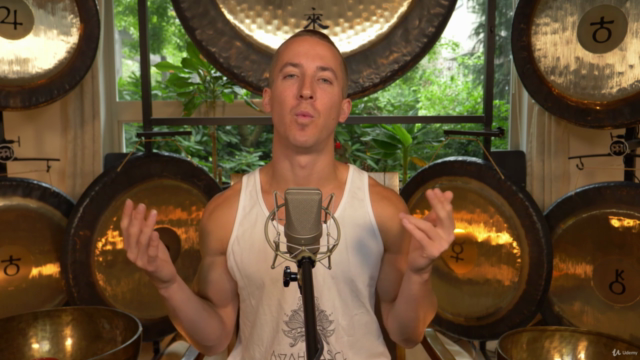 Sound Healing Pro Course: Part 2 – Screenshot 4