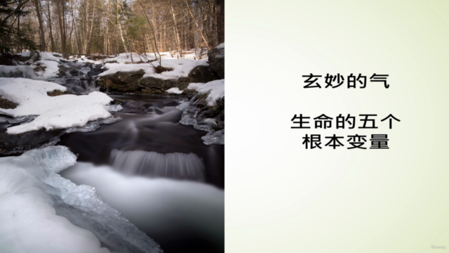 黄帝内经 : 玄妙的氣, 生命的五个根本变量 – Screenshot 2
