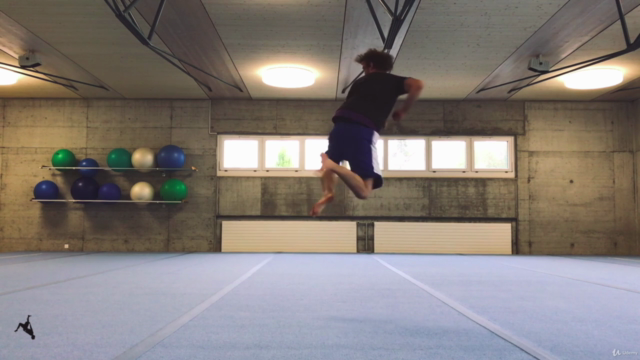 Flips & Kicks — Intermediate Guide Martial Arts & Gymnastics – Screenshot 1