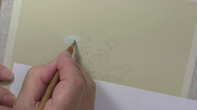 How To Draw Flowers Vol 2 - Daffodil, Poppy, Rose and More! - Screenshot_04