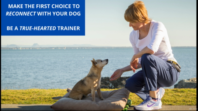 The 5 Essential Concepts for the MODERN Dog Trainer – Screenshot 1