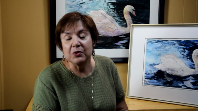Swan in Watercolour – Screenshot 1