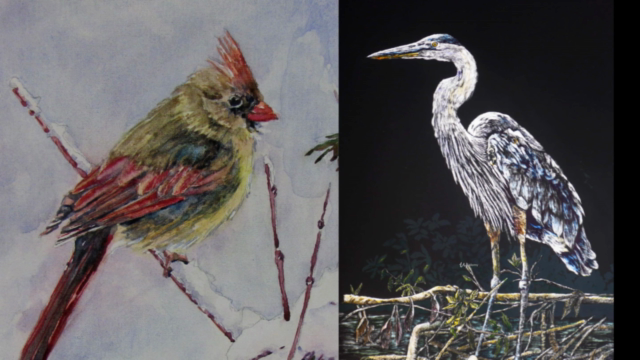 Swan in Watercolour – Screenshot 4